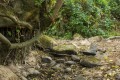 t-tirage papier la rivire sche courtin ph